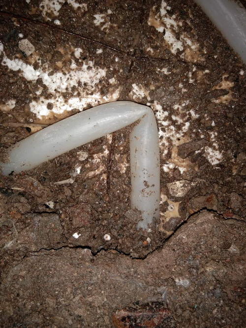 伊吾堵点精准查找